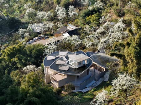 Buzzy Sunny· Feixue Pavilion